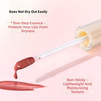 Gloss à lèvres hydratant et repulpant à base d'huile certifié Halal BPOM, enrichi en vitamine E, effet miroir, vente en gros sous marque privée