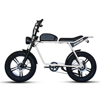 Nouveau produit Vélo électrique Vélo électrique tout-terrain à pneus larges 20 pouces Vélo de montagne électrique pour adultes