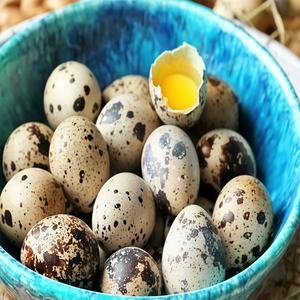 <span class=keywords><strong>Huevos</strong></span> de Codorniz Enlatados en Agua Hervida de China, Mejor <span class=keywords><strong>Precio</strong></span>, <span class=keywords><strong>Huevos</strong></span> de Codorniz Enlatados de Calidad Competitiva para Supermercados, Restaurantes y Hogares - Product Image 3