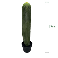 Cactus artificiel réaliste Enhao Dragon Phoenix, en plastique écologique, haute simulation, fausse succulente haute pour le bureau