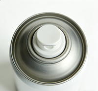 Vente en gros de flacons aérosols vides en fer blanc de 45/52/57/60/65/70/80 mm pour bombes aérosols, boîtes de conserve vides