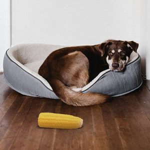 Jouets à mâcher en latex écologiques Sonws Paws avec saveur de <span class=keywords><strong>maïs</strong></span> - Simulation sonore <span class=keywords><strong>pour</strong></span> chiens 33g PT070 Vente en gros - Product Image 3