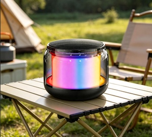רמקול בלוטות' RGB DS106PRO עם אפקטים של תאורה צבעונית, נייד, קטן, תומך בכרטיס TF, כניסת AUX, מתאים למחשב שולחני, מחשב נייד וסמארטפון. - Product Image 2