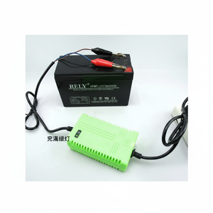 Chargeur 12V haute puissance entièrement intelligent pour batteries d'onduleur avec courant d'entrée de 15A, tension de sortie de 24V, norme de prise AU - Product Image 1