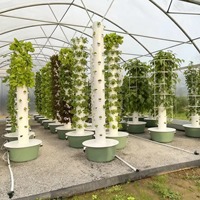 Tour de culture hydroponique sans sol de haute qualité pour l'agriculture verticale en intérieur, projets scolaires et agriculture urbaine