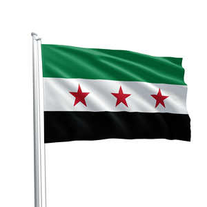 تسليم سريع مصنع المورد 100% البوليستر العلم الوطني الكندي مخصص كندا 3x 5Ft علم الدولة راية - Product Image 6