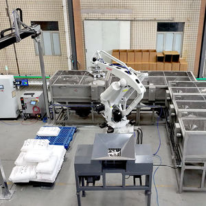 เครื่องจักรแยกพาเลทแบบหลายชั้นพร้อมระบบฉีกและเปิดถุงในตัวสำหรับสายการป้อนวัสดุอัตโนมัติ - Product Image 6