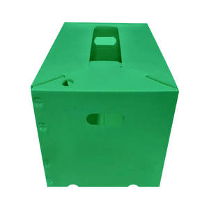 Geri dönüşümlü PP oluklu plastik meyve ambalaj kutusu PP plastik katlanır taşıma kutusu sebze saklama kutusu - Product Image 5