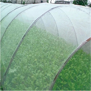 Anti Insect Netting HDPE Agricultural Virgin White Green Color Mesh Nets Anti-Insect Proof Net For Agro Vegetable Greenhouse