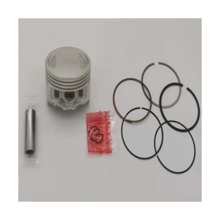 High Quality Factory Made OEM 56.5MM Motorcycle Piston And Ring Piston Kit DLW125/AP125