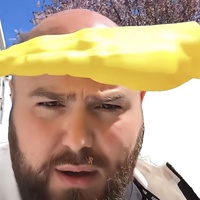 Nouveauté : Visière solaire fantaisie en forme de palmier et chapeau de soleil – Accessoire d'été pour la protection UV en extérieur