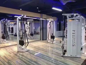 Shuyou TE sức mạnh Máy phòng tập thể dục thể thao Thiết bị Chân Curl + mở rộng - Product Image 2