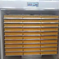Couveuse Populaire de 4000 Œufs, Machine d'Éclosion de Ventes