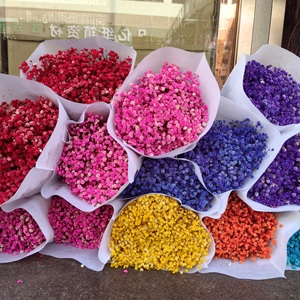 Regalo <span class=keywords><strong>de</strong></span> San Valentín, Gypsophila <span class=keywords><strong>Paniculata</strong></span> Seca y Preservada, <span class=keywords><strong>Flor</strong></span> <span class=keywords><strong>de</strong></span> Baby's Breath Eterna - Product Image 1