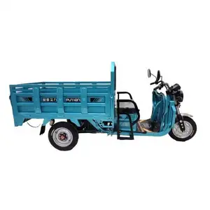 Enclosed Ckd Three Wheel Electric Tricycle Trike 70S With Cheap Price