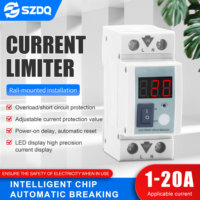 Disjoncteur électronique réglable 220V protecteur de surcharge unique montage sur Rail DIN limiteur de courant matériel PC court-Circuit