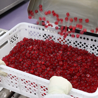 Gummies de croissance pour enfants en marque propre avec L-Lysine Hydrochloride, Magnésium, Zinc et Calcium pour le soutien immunitaire et le développement osseux
