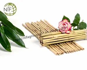 Eco-friendly pianta di Bambù supporto tonkin canna per l'agricoltura