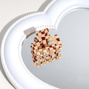 Yuxi Custom Acetaat Nieuwe Acetaat Kleine Haarklauw Veelzijdige Luipaardprint Half-Up Haarklauw Modieuze Mini Haaraccessoires - Product Image 4