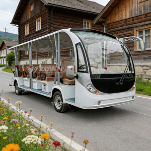 Navette électrique de type abri ZOWN pour visites touristiques, à performance stable, pour village de vacances - Product Image 6