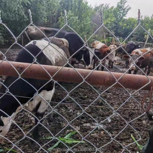 Panel de Malla Metálica para Cercas, 6x12 10x12 pies, para Perreras y Cercas Temporales, Láminas de Malla de Acero Galvanizado - Product Image 4