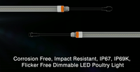 Tube T8 étanche IP67, 4 pieds, 24W, sans scintillement, gradation 0-100%, éclairage pour volailles, 130lm/W, garantie 5 ans