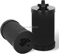 Filtre à eau de remplacement compatible Alexapure 2387 Pro noir, haute capacité, longue durée de vie, pour système de filtration par gravité
