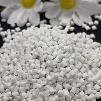 PET renforcé de fibres de verre LONGZHENG FRPETG30NC de qualité supérieure, ignifuge V0, haute résistance, résistant à la chaleur, pour moulage par injection