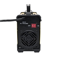 Poste à souder manuel à l'arc 220V DC 2-en-1 TIG MMA Inverter Soldadora