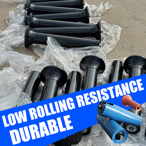 Sức đề kháng thấp Nylon tàu sân bay con lăn với bụi bằng chứng vòng bi - Product Image 2