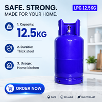 Muestra Gratis, Cilindro de Gas Propano Pequeño de 12.5 kg de Buena Calidad para Acampar, para Cocinar