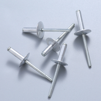 Usine 3.2/4.0mm DIN7337 Rivets de type ouvert Mandrin en acier Rivet aveugle en aluminium avec grande bride
