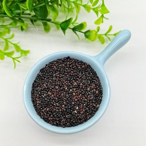 Graines <span class=keywords><strong>de</strong></span> Millet Noir Non Décortiquées (Nouvelle Récolte) pour Oiseaux – Vente en Gros - Product Image 4
