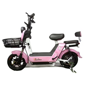 Moto électrique <span class=keywords><strong>WOSU</strong></span> au prix d'usine, vélo de livraison électrique 48v avec assistance au pédalage - Product Image 2