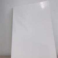 Panneau en PRF avec revêtement en gel haute brillance personnalisé, feuillard en fibre de verre ignifuge certifié ISO pour VR, camions frigorifiques et chambres froides