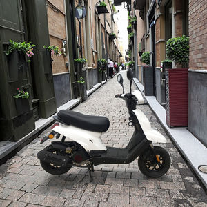 Petit scooter 50cc trottinette légère et économique, modèle le plus vendu avec certification cee - Product Image 4
