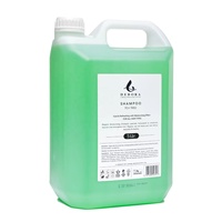 Shampooing et revitalisant pour hôtel Debora OEM Manufacturer, saveur naturelle d'arbre à thé, 5 L, ensemble d'articles de toilette pour hôtel en vrac de 5 litres