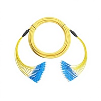12 Core Single Mode Fiber Optic Cable Assembly, Outdoor LSZH Sheath, Custom Telecom Grade Jumper