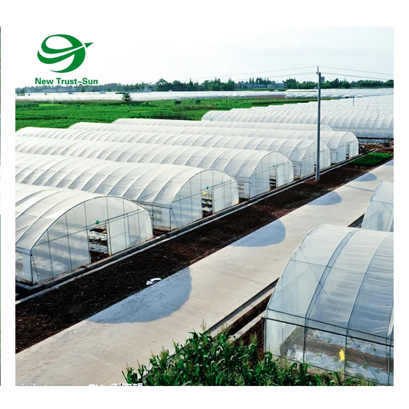 Túneles de plásticos 300x65x45 cm PE túnel de plantas vivero diapositivas carpa invernaderos de láminas