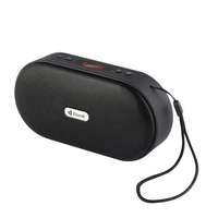Mini haut-parleur portable sans fil BT5.3 en plastique avec sangle, écran LCD, radio FM, compatible avec l'application, pour la randonnée en plein air, barre de son stéréo