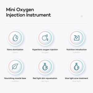 Pulvérisateur de brume nano hydratant pour la peau du visage, vaporisateur facial portable, injecteur d'oxygène, instrument de beauté spa, injecteur d'oxygène - Product Image 2