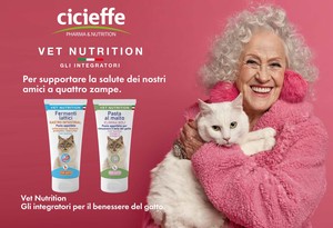 โภชนาการสัตวแพทย์ โภชนาการแมว อาหารเสริมสุขภาพ โปรไบโอติก เพื่อยึดสุขภาพระบบลําไส้ - Product Image 3