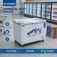Congélateur horizontal commercial à basse température, congélateur coffre avec porte solide verrouillable pour les magasins de proximité et les supermarchés