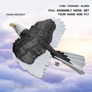 EPT 2.4G Hélicoptère Aigle à tête blanche télécommandé à 2 canaux Jouet Rc Jouets volants télécommandés Avion Avion - Product Image 6