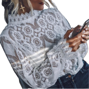 Blusa de Chifón Informal para Mujer, Otoño, Holgada, Lisa, Sexy, Transparente, Cuello en V, Manga Larga, con Patrón de Encaje Tejido Simple, Marca ANSZKTN - Product Image 4