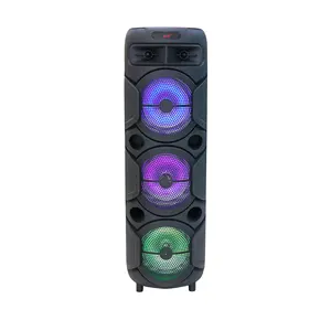 Altavoces de 3x8 pulgadas, amplificador digital, caja de sonido, altavoz pa jefe recargable