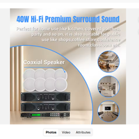 Système audio de plafond coaxial HIFI haut de gamme 803 60W 4 pouces pour mosquées et églises avec amplificateur et télécommande pour home cinéma