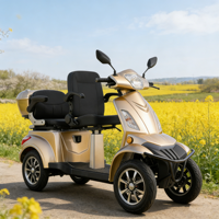 Scooter Électrique Quatre Roues Élégant et Luxe Léger, Batterie Plomb-Acide 60V 20Ah, Moteur Sans Balais, Autonomie 40-60km, Vitesse 21-30km/h, VIGOROUS