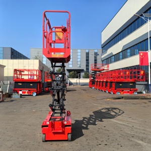 Plataforma Elevadora Robusta de Acero con Puerta de Seguridad para Taller con Acceso para Discapacitados - Product Image 3