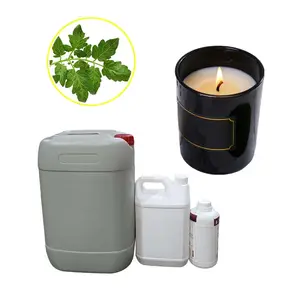 Fenhao Scented Candles Tomato Leaves For Wax Melts Fragrance Oils For Making Candle Bulk Fragrance Oil